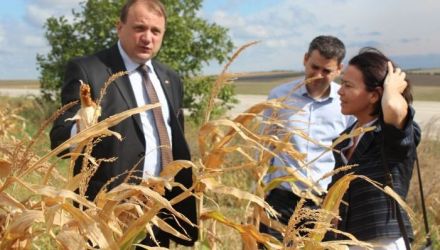 Premierul i-a cerut ministrului Agriculturii, Vasile Bumacov, să coordoneze această evaluare
