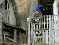 Unul din cazurile recente care a intrat în vizorul autorităţilor s-a întâmplat la Făleşti. Foto: gandul.info