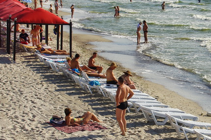 Главная проблема не в водорослях, а в том, что в них разводятся бактерии. Фото: weekend.od.ua