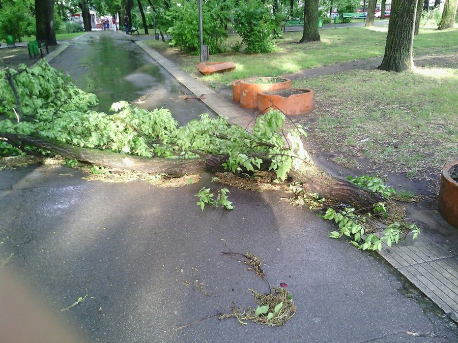 Ultimele informaţii operative arată că vîntul de ieri a făcut ravagii în mai ulte localități din țară.