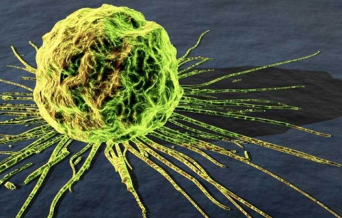 Acest dispozitiv ar putea fi pus spre vânzare în câţiva ani, astfel că testele de cancer ar putea fi efectuate chiar de acasă