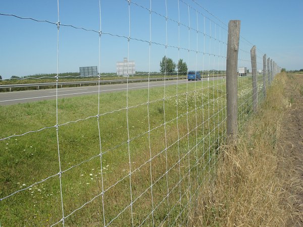 Lucrările de instalare a gardului sunt efectuate de Ucraina pe segmentul transnistrean al hotarului moldo-ucrainean. 