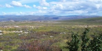Încălzirea în zona arctică va încuraja probabil exploatarea resurselor de petrol