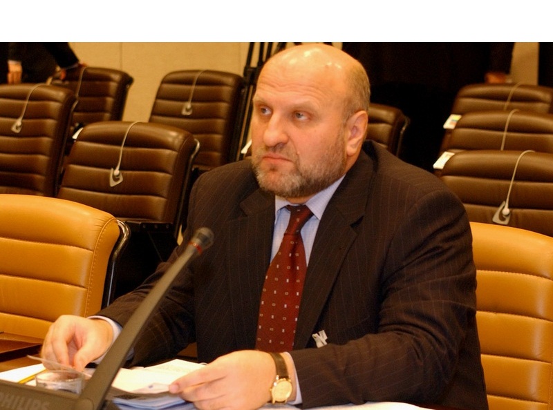 Посол Молдовы в Украине, Ион Стэвилэ.