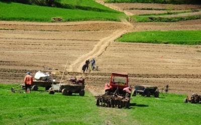 Poziţia a fost exprimată marţi, în cadrul întrevederii preşedintelui Parlamentului, Marian Lupu, cu reprezentanţii Uniunii producătorilor agricoli.