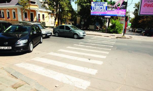 Mulţi şoferi se plâng că semnele se pierd în frunzişul arborilor, iar unele zebre sunt pe cale de dispariţie.