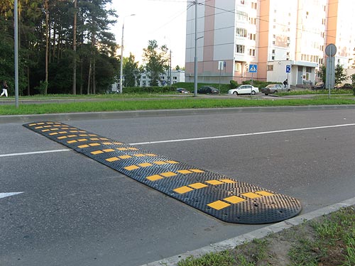Напротив столичных школ будут установлены "лежачие полицейски"