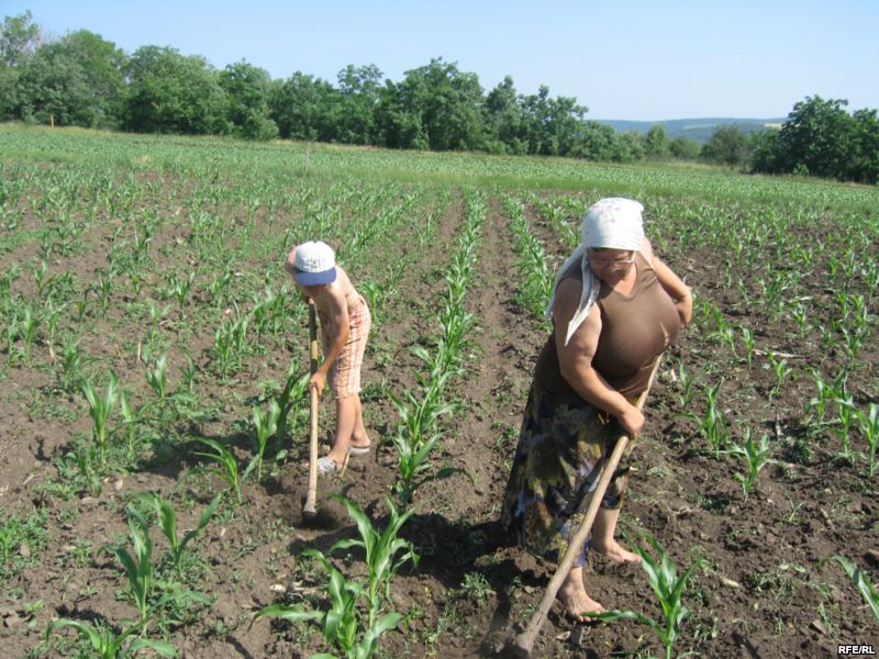 Aproape 200 de copii din Moldova nu frecventează şcoala, potrivit datelor oficiale ale Ministerului Educaţiei.