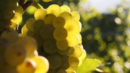 Pentru zilele următoare meteorologii anunţă vreme caldă pentru această perioadă din an. 