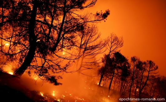  Peste 900 de pompieri luptă împotriva focului. 