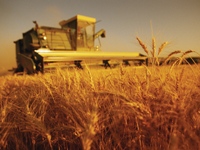 Premierul a cerut să fie efectuată, în regim de urgenţă, o evaluare obiectivă a situaţiei în agricultură