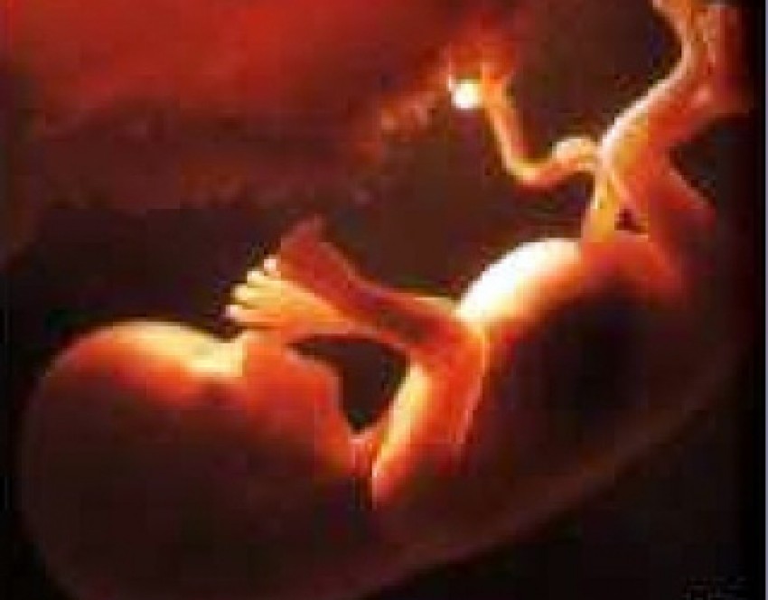 Descoperirea misterioasă a alertat localnicii din regiune, unii presupun că aceste avorturi au fost făcute ilegal