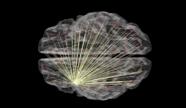 Descoperirea a avut la bază o analiză a imaginilor obţinute prin rezonanţă magnetică funcţională ale creierelor mai multor subiecţi