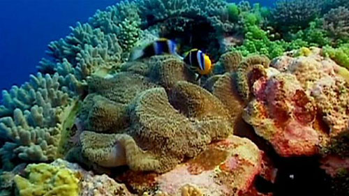 Oceanele si atmosfera sunt strans legate intre ele si impreuna formeaza componenta cea mai dinamica a sistemului climatic