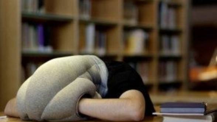 Având în vedere importanţa somnului, unele firme au amenajat deja săli de siestă: 15-20 de minute de odihnă după masa de prânz duc la recuperarea până la 100% a capacităţilor cognitive. 