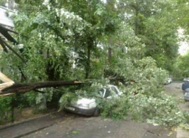 Pe 23 mai, furtuna a rupt 26 de arbori şi a avariat alte 2 automobile, iar pe 24 mai încă 15 arbori au fost rupţi în timpul polilor.