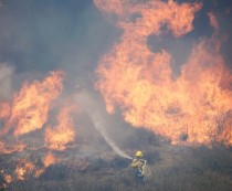  Un incendiu puternic, izbucnit la nord-vest de Los Angeles, a determinat evacuarea a zeci de persoane şi a distrus peste 2.600 de hectare de vegetaţie.
