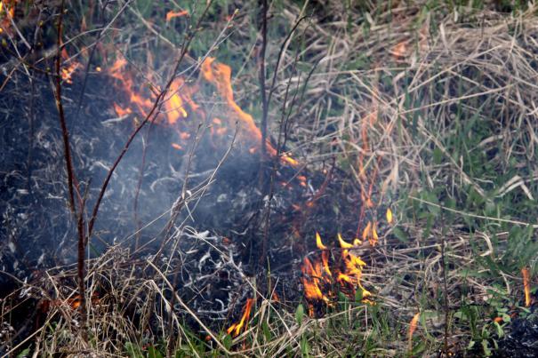 În ultimele 24 de ore pompierii au intervenit la 15 focare de vegetaţie uscată şi resturi menajere
