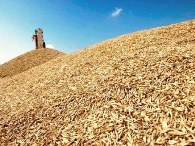 Экономический агент подозревается в незаконной продаже пшеницы, доверенной ему на хранение. Фото: romana.kz