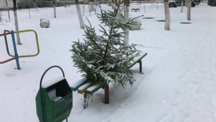Pomii vor fi transportaţi pe teritoriul Parcului „Dendrariu”.