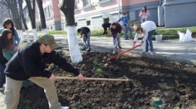 În capitală a demarat procesul de văruire a copacilor.