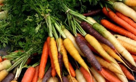 Fructele şi legumele au acelaşi conţinut de vitamine, laptele are acelaşi nivel de proteine şi grăsimi.
