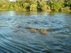  În cazul situaţiilor de urgenţă, apelaţi Serviciul 901.