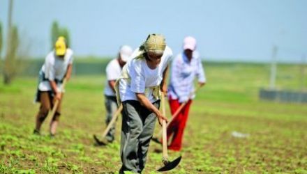 Potrivit procurorilor, în primăvara anului 2005, inculpata i-a recrutat la munci agricole, promițându-le un salariu bun.
