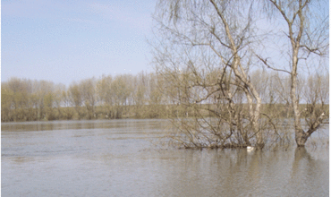 Două case din satul Ciorna, raionul Rezina, și curtea bisericii din localitate au fost inundate.