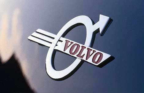 Volvo собирается вслед за велосипедистами "увидеть" собачек и кошечек на дорогах.
