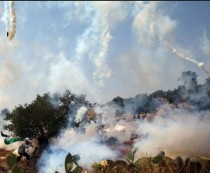 El locuia în zonă şi a fost ucis în timp ce acorda ajutor umanitar comunităţii, a declarat ea într-un comunicat.