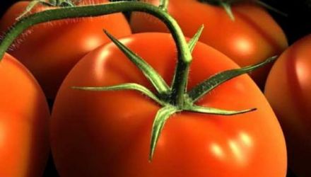 Pentru circa 30 de tipuri de legume şi fructe se acordă prioritate la vămuire