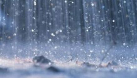 În oraşul Leova, în urma ploii şi a vântului puternic, au fost doborâţi mai mulţi copaci în rezultatul fiind blocate 4 străzi.