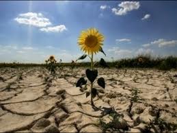 Grupul parlamentar al comuniștilor l-a audiat astăzi pe ministrul Agriculturii, Vasile Bumacov. Foto: tvlitoral.ro