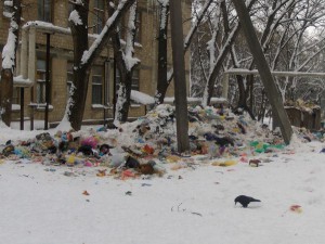 Беспорядочный мусор исчезнет с бельцких дворов?
