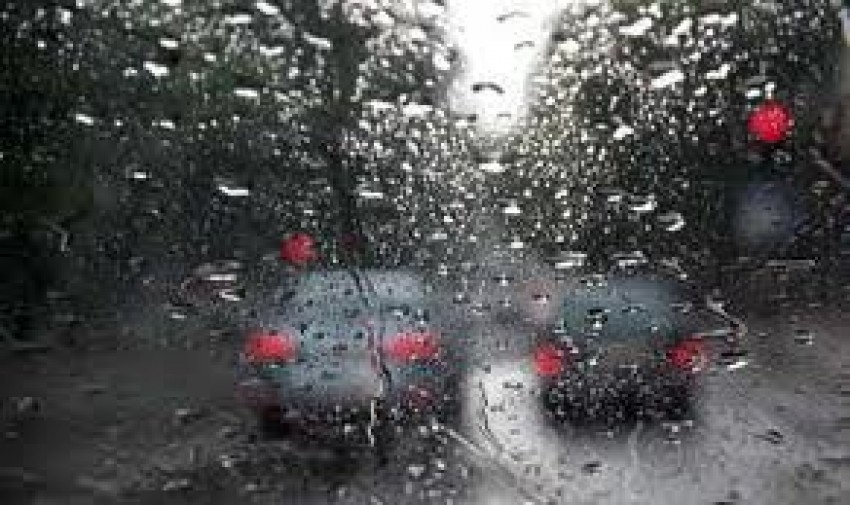 În plus, ploile cu grindină au distrus 600 ha de vii, 1210 ha de livezi, 6326 ha de semănături şi 73 ha de grădini particulare. 