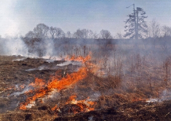 С 10 июля по 9 августа в приднестровском регионе было зарегистрировано 206 пожаров.