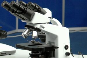Studiul a fost publicat în revista International Journal of Systematic and Evolutionary Microbiology