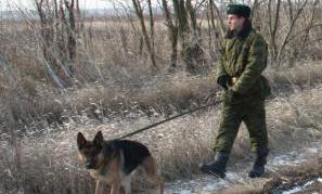 Tânăra s-a dovedit a fi cetățeană a Ucrainei, în vârstă de 23 ani, locuitoare a oraşului Moghiliov-Podolsk. 