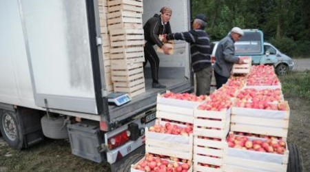 В целом молдавский экспорт в I полугодии 2012 г. составил $1 млрд. 041,8 млн.
