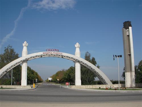 Власти Крикова жалуются, что 11 га земли города были незаконно присвоены экономическим агентом SRL Ecotehlider. Фото: placelook.com