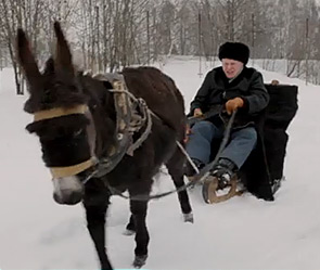 Владимир Жириновский на ослике. Фото: youtube.com