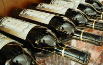 Necesităţile ramurii vinicole sunt estimate la 150 de milioane de euro