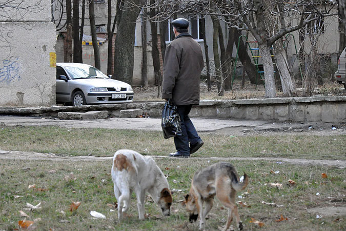 Самым опасным регионом является Унгенский район.