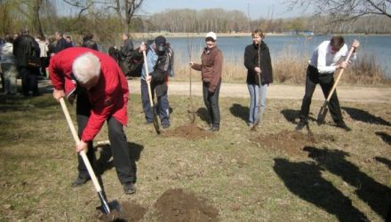 Pentru înverzirea orașului, Primăria Chișinău va aloca 140 de mii de lei