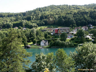 Леса Каринтии. Фото с сайта www.webphoto.ro