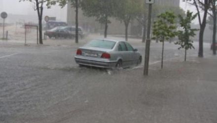 În districtul Krimsk au fost găsite 42 de cadavre