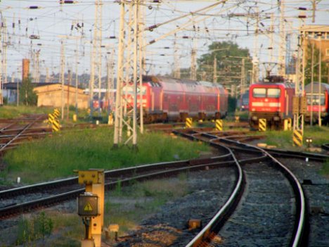 Труп молдаванина был обнаружен 21 февраля в вагончике на территории лесозаготовительного участка возле деревни Величково. Фото:  transday.ru 