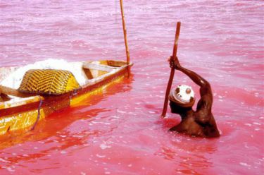 Lacul Retba din Senegal pare un imens milkshake de căpşuni