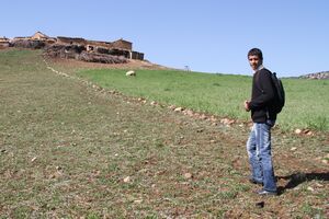 Potrivit raportului, acest fenomen este concentrat în principal în mediul rural